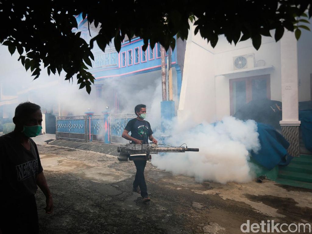 Musim Hujan Tiba, Begini Gejala DBD dan Cara Mencegahnya Musim Hujan Tiba, Begini Gejala DBD dan Cara Mencegahnya