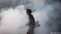 Upaya Cegah Demam Berdarah di Tengah Pandemi