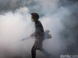 Kasus DBD di RI Capai 68 Ribu, Berikut Sebarannya Per 21 Juni