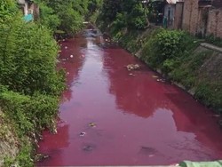 Pemko Periksa Usaha Konveksi Sekitar Parit yang Sempat Jadi Pink di Medan