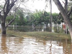 Kompleks Pantai Mutiara Masih Terendam Air Rob Pagi Ini