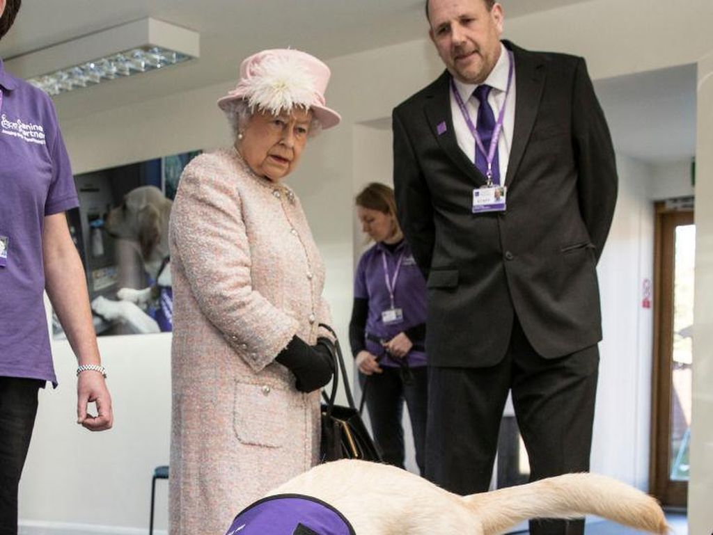 Hidup Mewah Anjing Ratu Elizabeth II yang Punya Menu Makanan Khusus