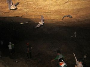 Serunya Caving di Gua Gudawang Bogor