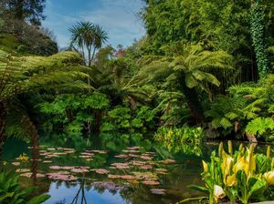 Kebun Raya Populer di Inggris Buka Lagi