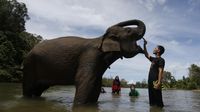 Wisata Konservasi di Aceh Dibuka Lagi Saat New Normal