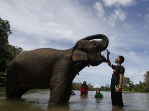 Wisata Konservasi di Aceh Dibuka Lagi Saat New Normal Wisata Konservasi di Aceh Dibuka Lagi Saat New Normal