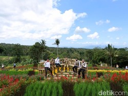 Penerapan Simulasi New Normal di Banyuwangi Digelar di Destinasi Wisata