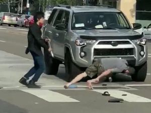 Kemlu Cek Video Viral Diduga Mahasiswa RI Pukul KO Pria Rasis AS