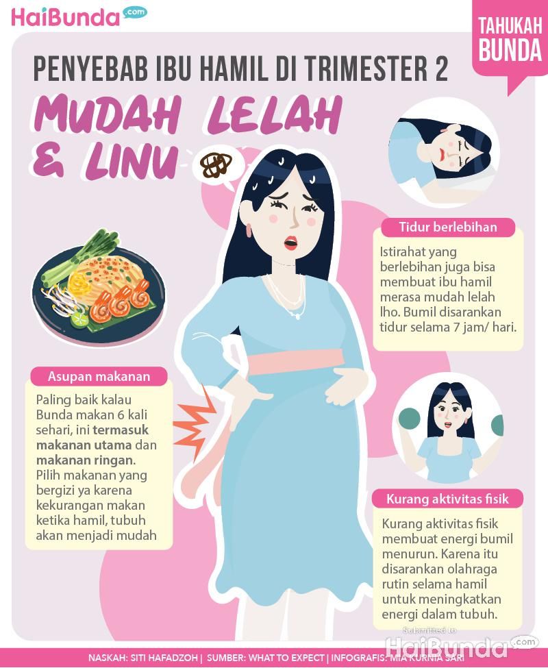 Infografis ibu hamil trimester 2