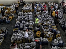 Banyak Transaksi di Luar TPI, Retribusi Hasil Laut Pangandaran Minim