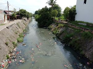 Sempat Pink, Air Parit di Medan Kini Berwarna Hijau Kehitaman