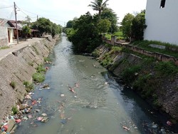 Sempat Pink, Air Parit di Medan Kini Berwarna Hijau Kehitaman
