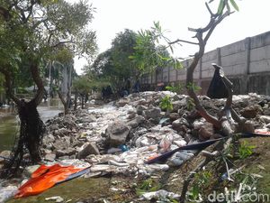 Banjir Rob Surut, Lurah Pluit: Pengungsi Sudah Nihil