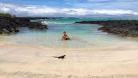 Foto: Traveler Berteman dengan Satwa Liar di Pulau Terpencil