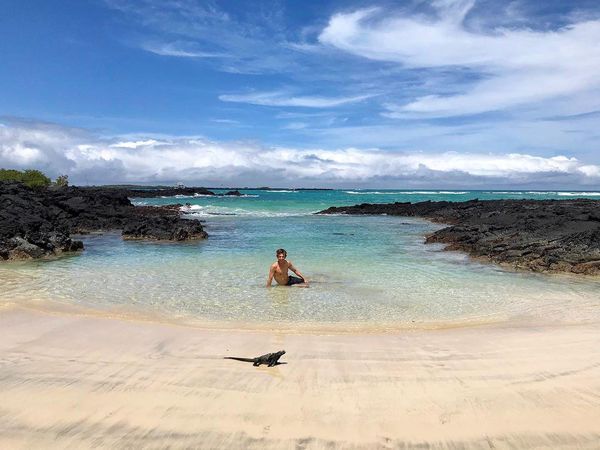 Foto: Traveler Berteman dengan Satwa Liar di Pulau Terpencil