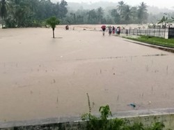 Sungai Cihaur Meluap, 20 Hektar Sawah di Sukabumi Terendam Banjir