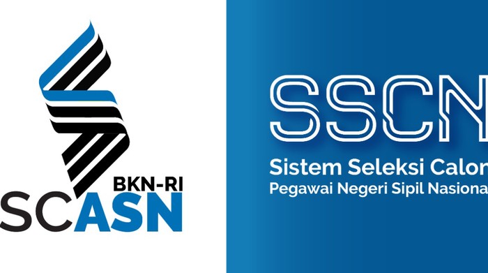 sscasn sscasn