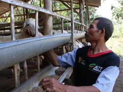 Bantu Masyarakat Terdampak COVID-19, ACT Ajak Jadi Agen Qurban