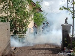 Cikungunya Serang Warga, Dinas Kesehatan Banyuwangi Lakukan Fogging