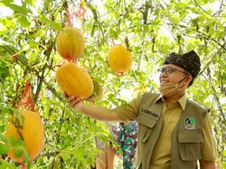 Ini Cara Pemkab Banyuwangi Buka Destinasi Pariwisata di Era New Normal