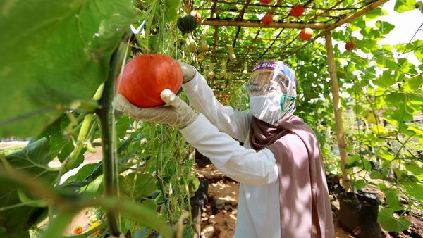 Potret Wisata New Normal di Banyuwangi