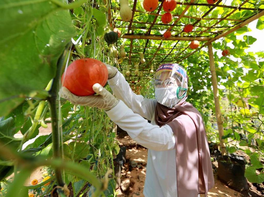 Potret Wisata New Normal di Banyuwangi Potret Wisata New Normal di Banyuwangi