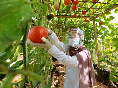 Potret Wisata New Normal di Banyuwangi