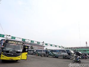 Duh! Sopir Bus Bertahun-tahun Tanam Mindset Mending Hilang Nyawa Satu Mobil