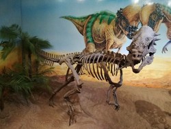 Menengok Jejak Dinosaurus di Asia Tenggara