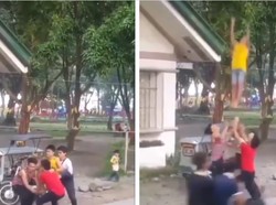 Tanpa Alat, Pria-pria Ini Petik Buah Mangga dengan Gaya Cheerleader
