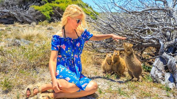 Yuk Ngadem Dulu, Lihat Foto Hewan yang Selalu Tersenyum