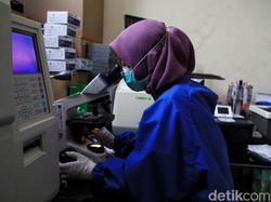 Update Corona di Indonesia 15 Juni: 39.294 Positif, 15.123 Sembuh, 2.198 Meninggal