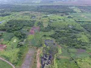 Arkeolog Temukan Kuil Kuno di Situs El Tigre, Bangunan Dedikasi untuk Dewa Maya