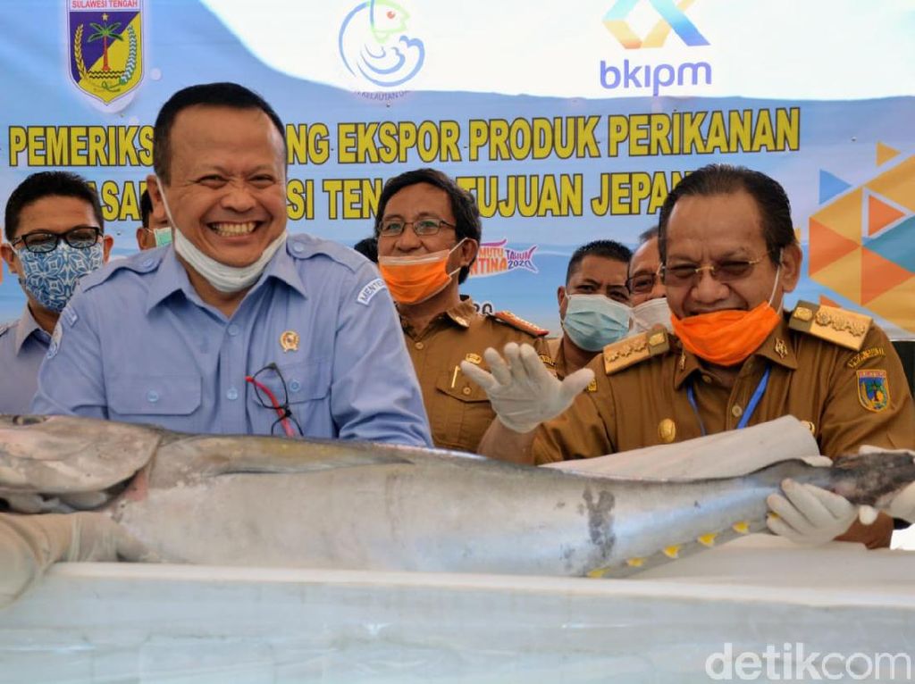 Soal Cantrang, Menteri Edhy: Semangat Kami untuk Kesejahteraan Nelayan Soal Cantrang, Menteri Edhy: Semangat Kami untuk Kesejahteraan Nelayan