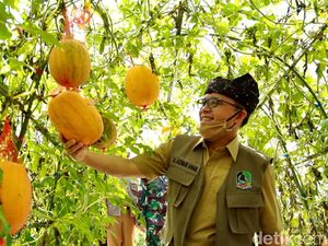 Wisata Banyuwangi Tak Mau Kalah dari Pandemi, Bupati Anas Rinci Strateginya