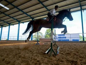 Atlet Berkuda Ini Tetap Berlatih di Masa Pandemi