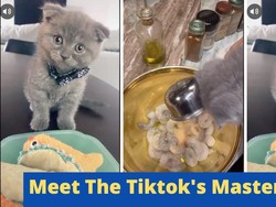 Pintar Memasak Kucing Imut Ini Langsung Viral di TikTok