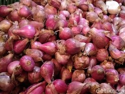Harga Bawang Merah di Brebes Rp 40.000/Kg, Kok di Jakarta Jadi Mahal?