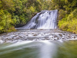Anak Kabut Penjaga Hutan Te Urewera dengan Tradisi Maori