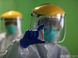 Pemerintah Periksa 24.965 Spesimen pada 24 Juli, Total Jadi 1.335.889