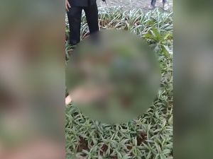 Loncat dari Lantai 23 Apartemen, Wanita Paruh Baya Tewas Seketika
