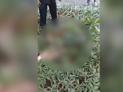 Loncat dari Lantai 23 Apartemen, Wanita Paruh Baya Tewas Seketika