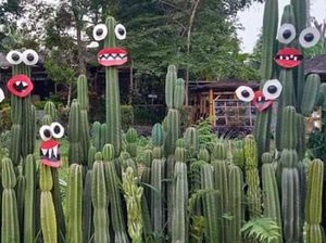 Lucunya Tanaman Kaktus di Taman Anggrek Kediri