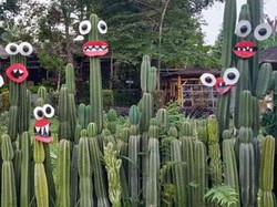 Lucunya Tanaman Kaktus di Taman Anggrek Kediri