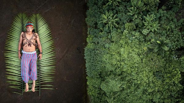 Foto Terbaik Juara Sony World Photography Awards 2020