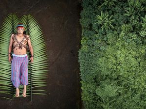 Foto Terbaik Juara Sony World Photography Awards 2020