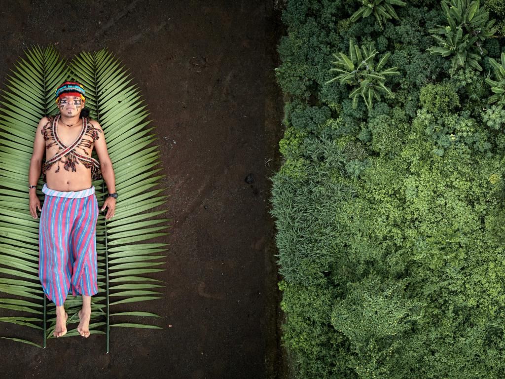 Foto Terbaik Juara Sony World Photography Awards 2020 Foto Terbaik Juara Sony World Photography Awards 2020