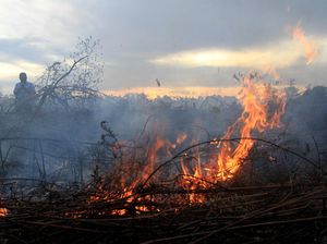 Lahan Gambut di Parepare Terbakar, 8 Mobil Pemadam Diterjunkan