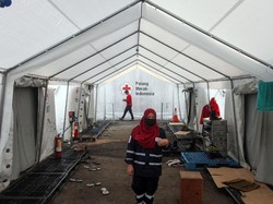 Hari Relawan PMI 26 Desember 2024: Sejarah, Tema, dan Twibbon