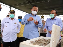 Pengamat: 8 Bulan Edhy Prabowo Menjabat, Tak Ada Demo Nelayan di KKP